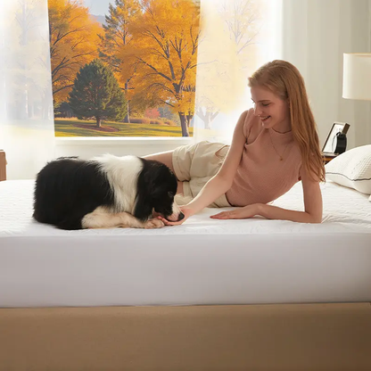 Ultimate Mattress Protector | 100% Waterproof & Dirt-Proof 💧 Enjoy a Fresh Bed & a Fresh Deal! 💰 Limited Offer!