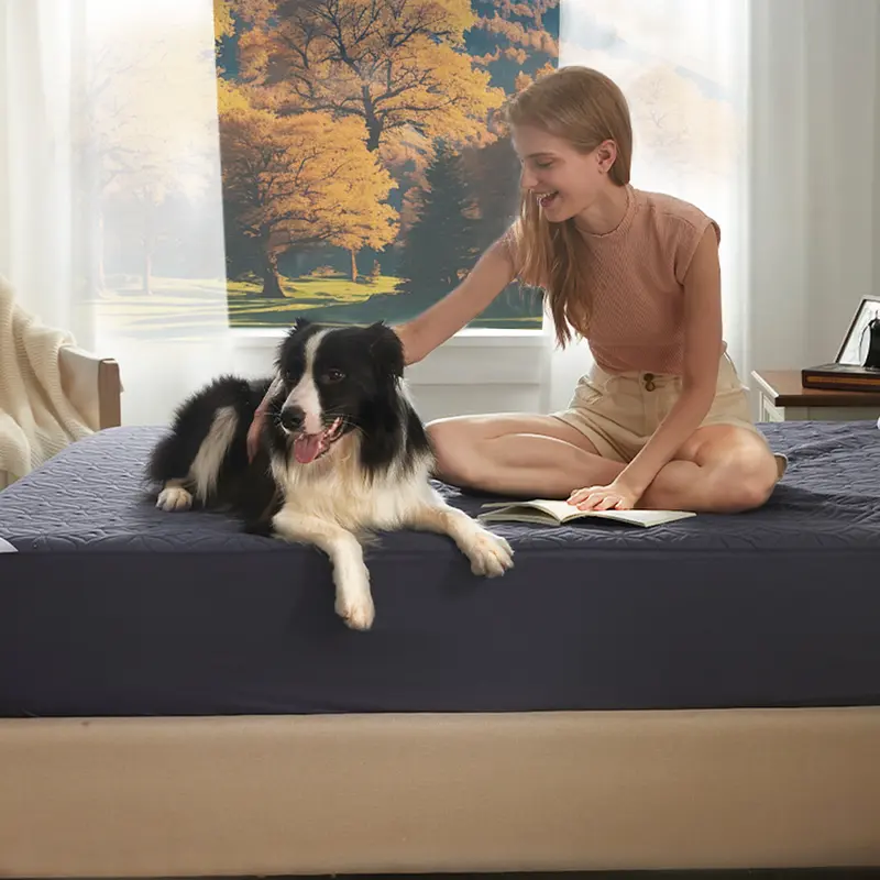 Ultimate Mattress Protector | 100% Waterproof & Dirt-Proof 💧 Enjoy a Fresh Bed & a Fresh Deal! 💰 Limited Offer!